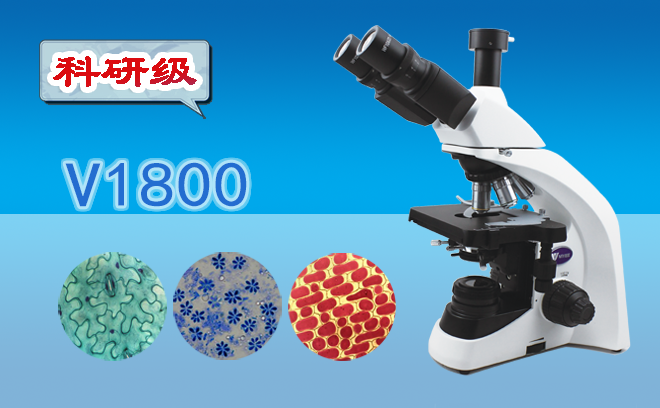 生物顯微鏡